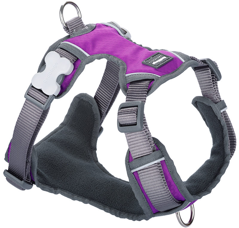 RD Gepolstertes Gurtzeug Violett-M 20mmx38-58x46-63cm