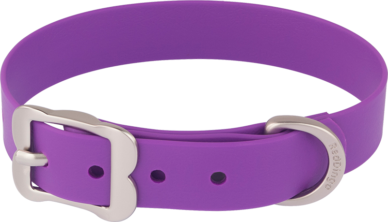 RD Halsband PVC Purper-M 20cmx34-42cm