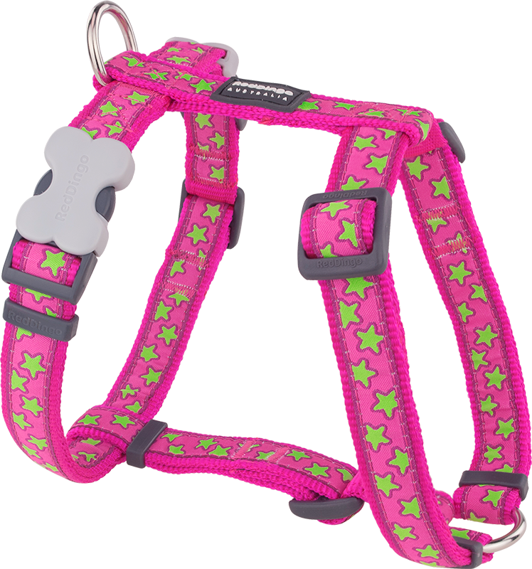 RD Harnais Stars Citron Vert sur Roze-M 20mmx36-59x45-66cm