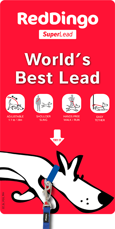 SuperLead POS Demo Display Sign English