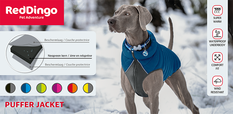 AB POS Red Dingo Top Card Display-900x440cm