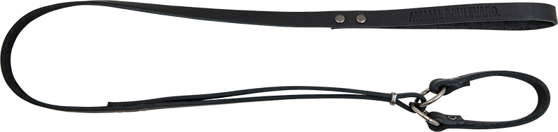 AB COUNTRY LEATHER School leash Black-16mmx148cm