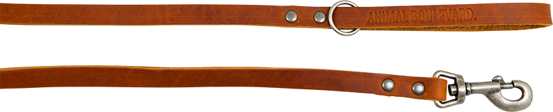 AB COUNTRY LEATHER Laisse Cognac-12mmx130cm