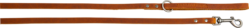AB COUNTRY LEATHER Lange Leine Cognac-12mmx180cm