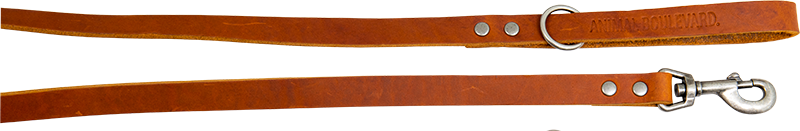 [AB30077] AB COUNTRY LEATHER Laisse HD Cognac-20mmx130cm