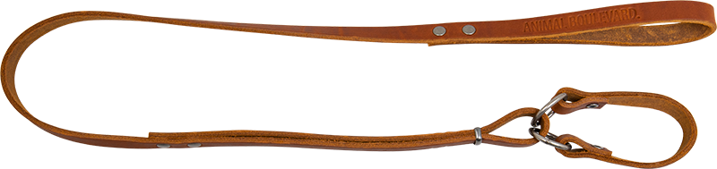 AB COUNTRY LEATHER Laisse école Cognac-16mmx148cm