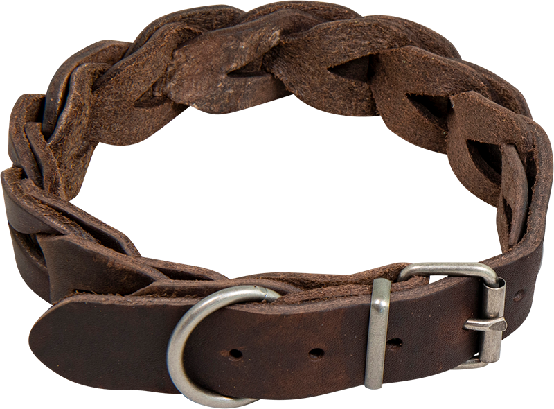 AB COUNTRY LEATHER Braided collar Brown-25mmx36-43cm