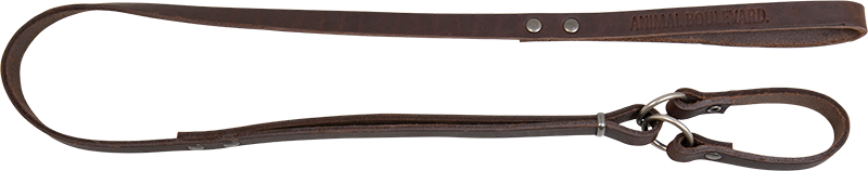 AB COUNTRY LEATHER Laisse école Brun-16mmx148cm