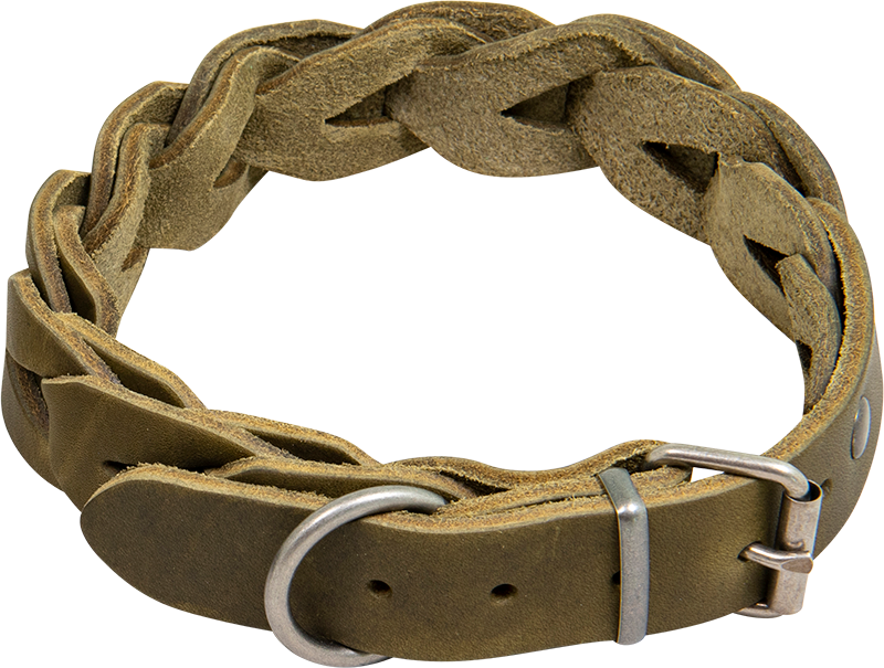 AB COUNTRY LEATHER Braided collar Olive-25mmx36-43cm