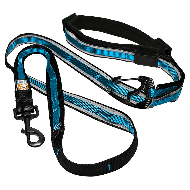 [K01350] KURGO Reflect & Protect Quantum 6-in-1 Leash Blue-122-182cm