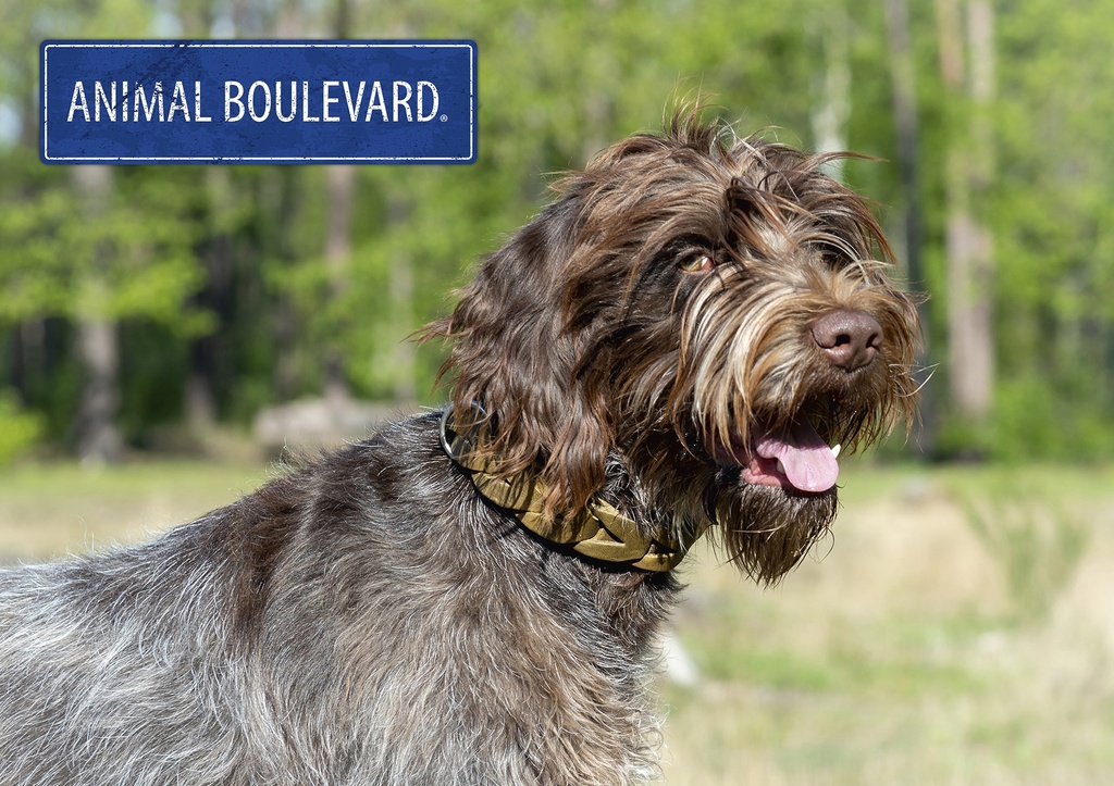 AB POS Country Leather Pancarte Karussell-420x297mm