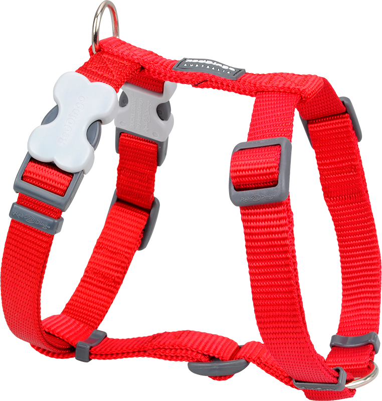 RD Harnas Rood-XL