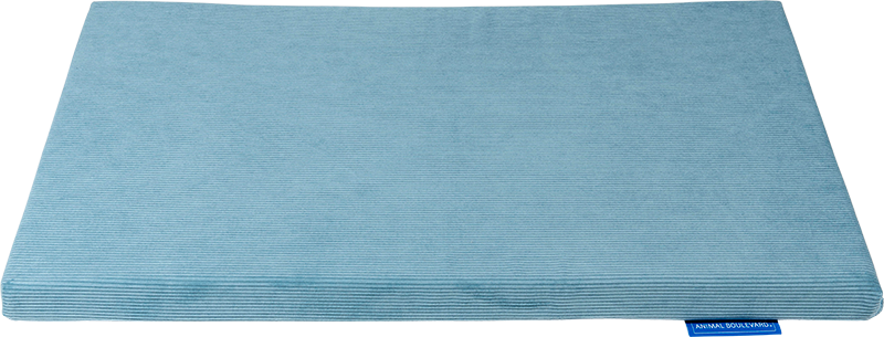 AB Bench Mattress Ice Blue-XXL 119x73x5cm