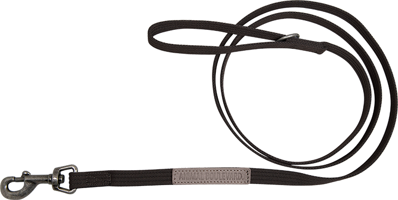 [AB30552] AB CANVAS Lange Leine Braun-16mmx180cm