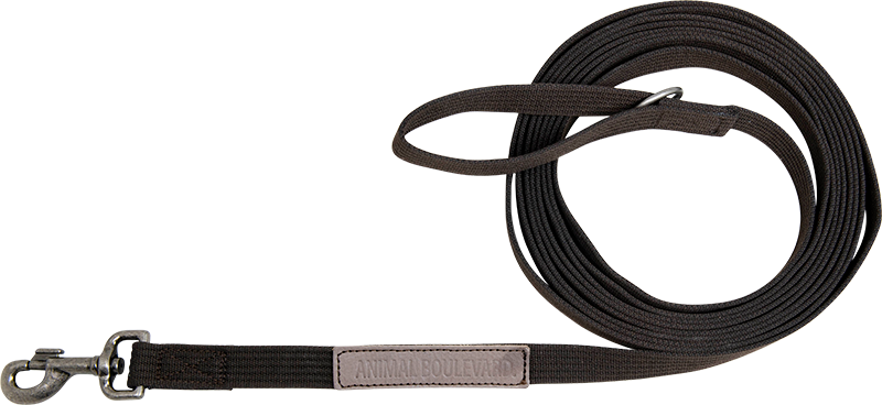 [AB30554] AB CANVAS Laisse à Pister Brun-16mmx5m