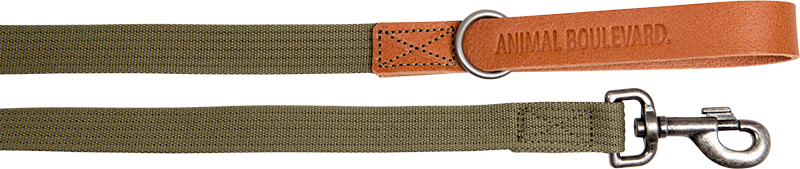 AB WAXED LEATHER WITH CANVAS Leash Cognac/Green-25mmx120cm