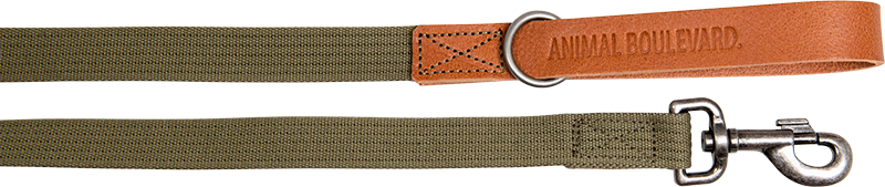 AB WAXED LEATHER WITH CANVAS Leine Cognac/Grün-25mmx120cm