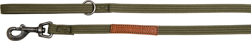 AB CANVAS Leiband Groen-16mmx120cm