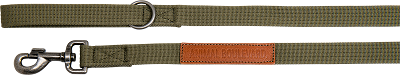 AB CANVAS Leash Green-25mmx120cm