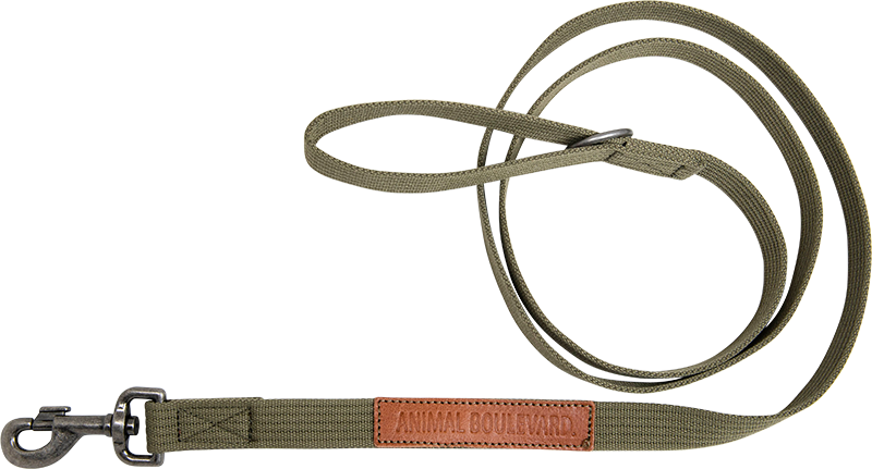 AB CANVAS Long leash Green-16mmx180cm