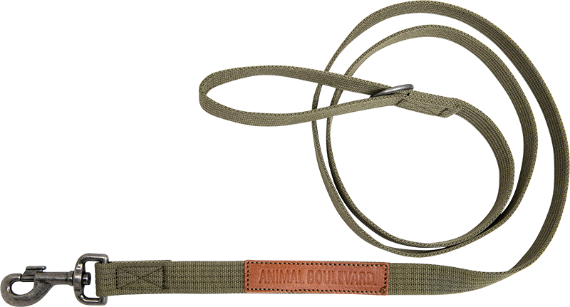 AB CANVAS Lange Leine Grün-25mmx180cm