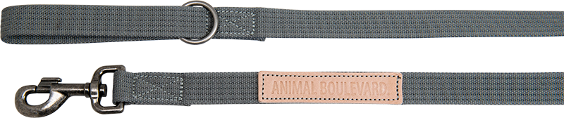 AB CANVAS Leine Grau-25mmx120cm