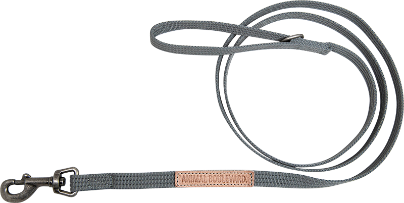AB CANVAS Lange Leine Grau-25mmx180cm