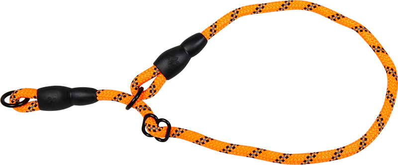 AB SAFETY Collier martingale Orange-8mmx40-55cm