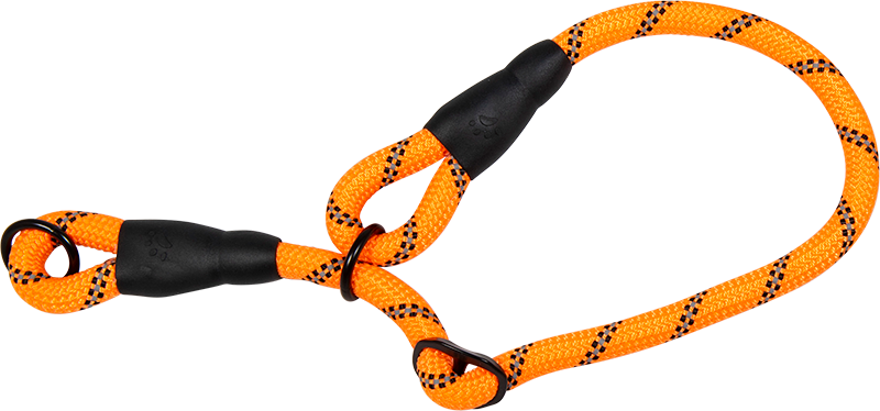 AB SAFETY Collier martingale Orange-12mmx40-55cm