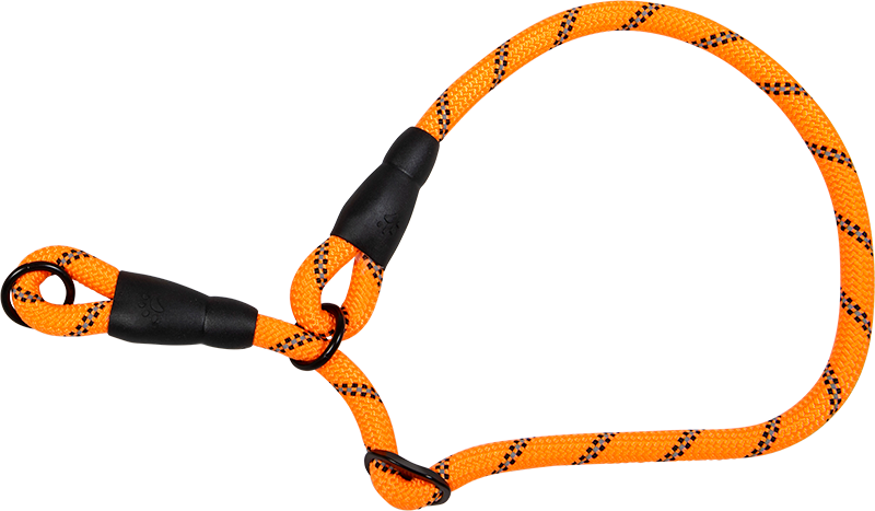 AB SAFETY Martingale-halsband Orange-12mmx55-70cm