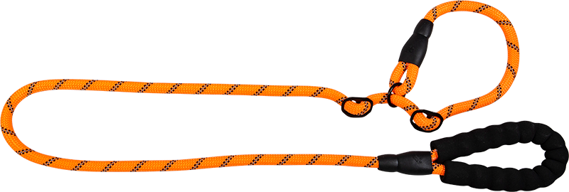 AB SAFETY Laisse martingale poignée EVA Orange-12mmx150cm