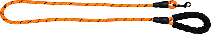 AB SAFETY Laisse avec poignée EVA Orange-12mmx150cm