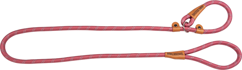 AB SCHOOL LEASH Rose-15mmx180cm