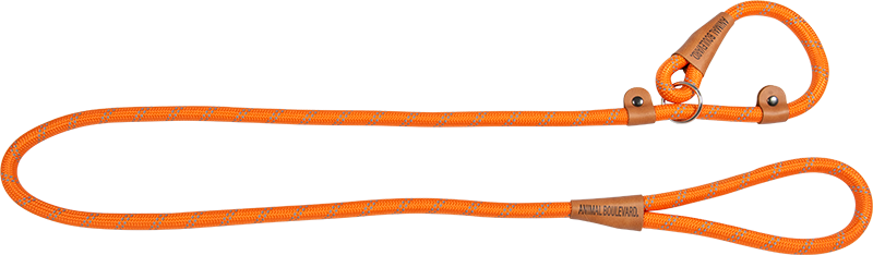 [AB32104] AB SCHOOL LEASH Orange-15mmx180cm