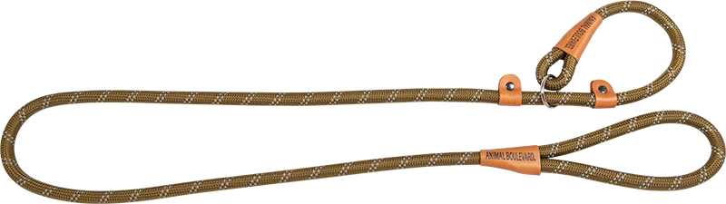 AB SCHOOL LEASH Vert armée-15mmx180cm