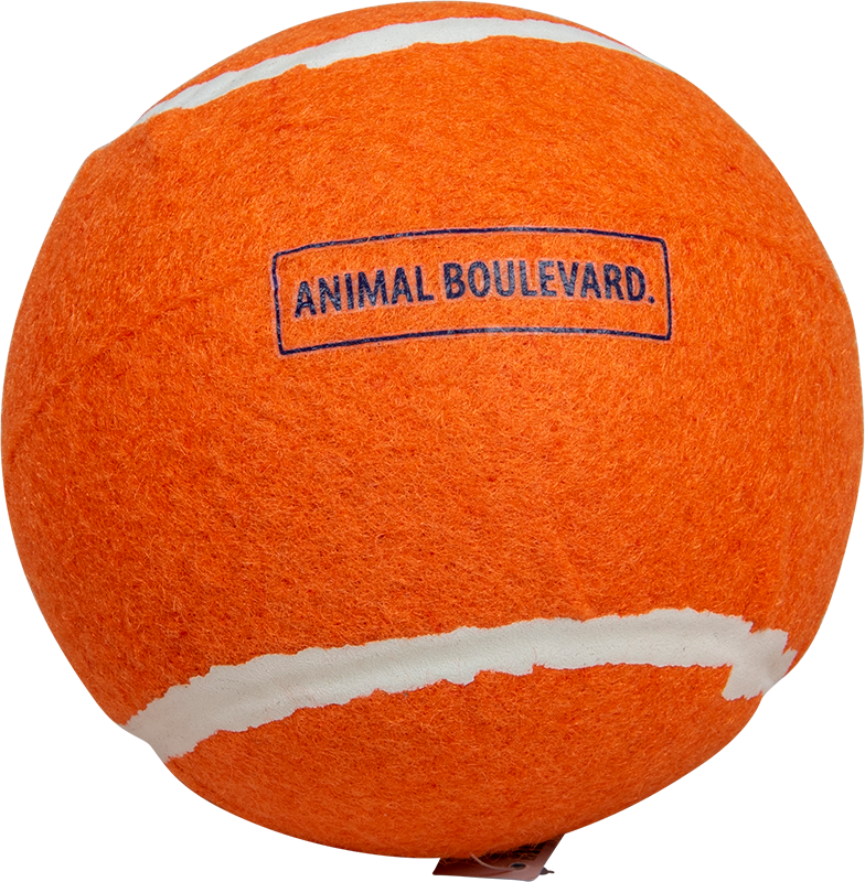 AB TENNIS BALL Orange-13cm