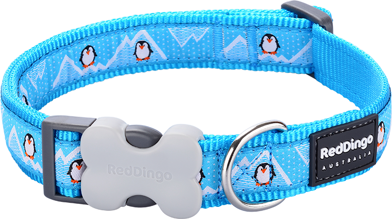 RD Halsband Penguin Turquoise-XS 12mmx20-32cm