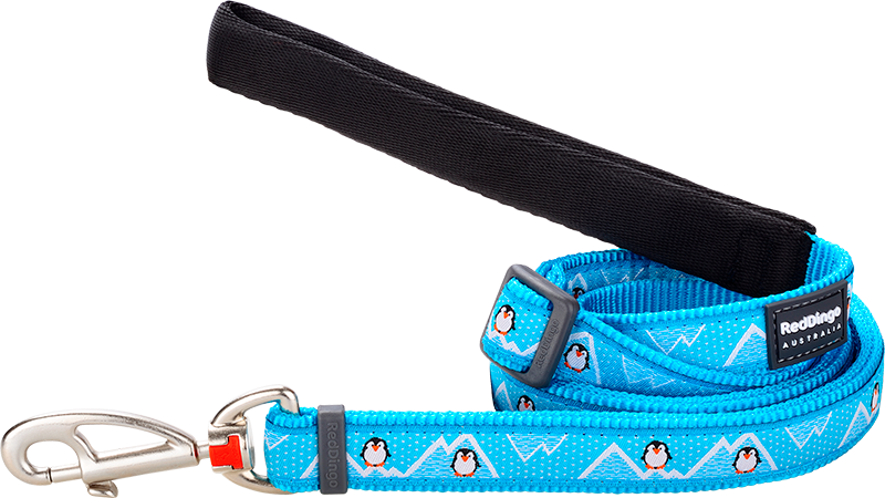 [L6-PE-TQ-12] RD Leash Penguin Turquoise-XS 12mmx1,8m