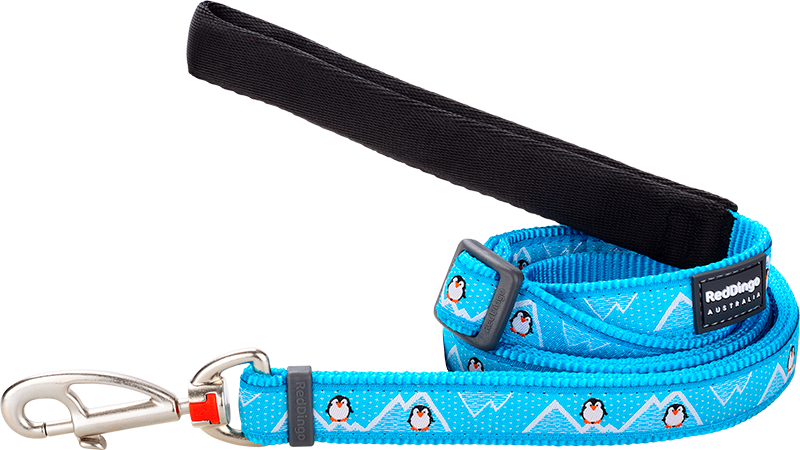 RD Leash Penguin Turquoise-XS 12mmx1,8m