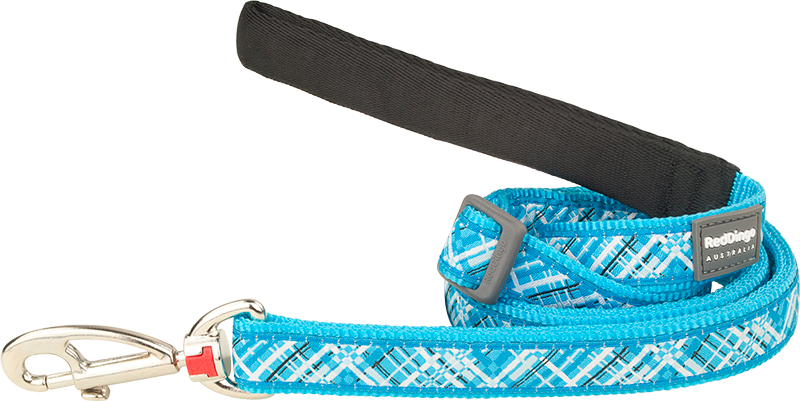 RD Leash Flanno Turquoise-M 20mmx1,8m