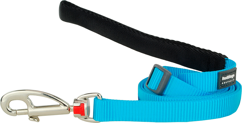 RD Leash Turquoise-XS 12mmx1,8m