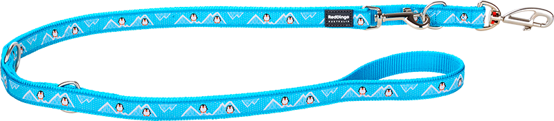 [MP-PE-TQ-20] RD Laisse Multi Penguin Turquoise-M 20mmx2,0m