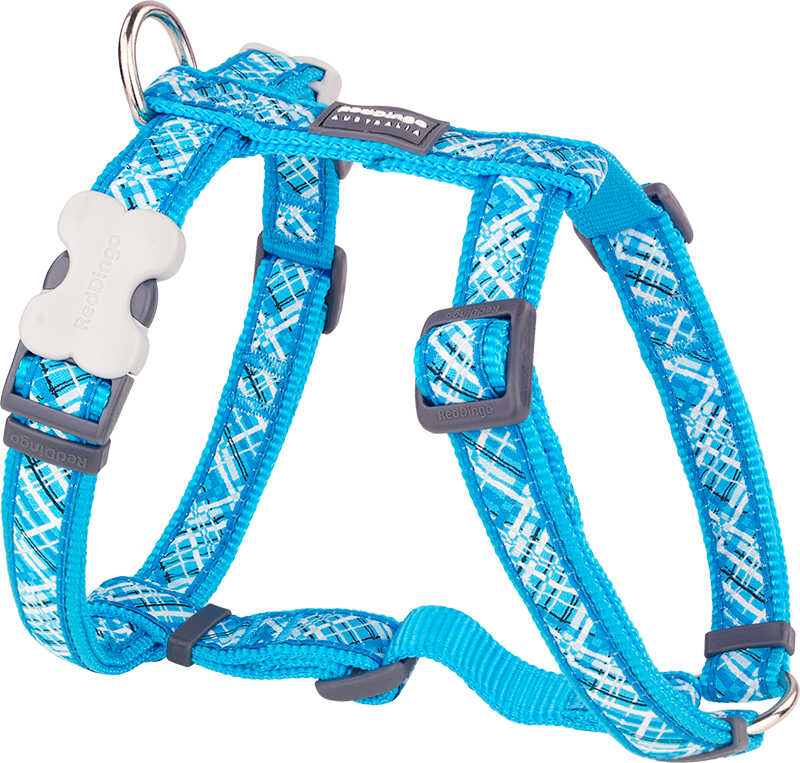 RD Harnais Flanno Turquoise-M