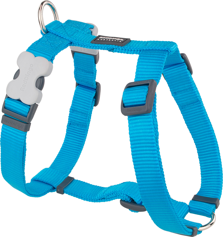 RD Harness Turquoise-XS