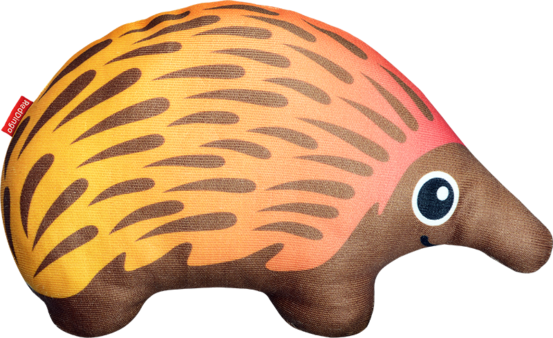 [DF-EC-BR-NS] RD Durables Echidna Orange-23,5cm