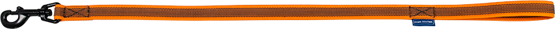 AB GRIP Laisse Courte Orange-20mmx60cm 
