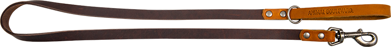 AB COUNTRY LEATHER Laisse Brun/Cognac-16mmx120cm