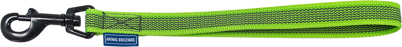 AB GRIP Laisse Courte/Ceinture de Sécurité Vert-20mmx35cm