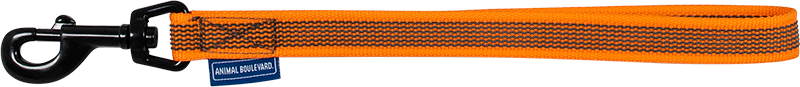 AB GRIP Kurze Leine/Sicherheitsgurt Orange-20mmx35cm