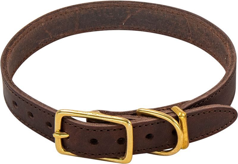 AB POSH LEATHER Collar Brown-12mmx23-31cm